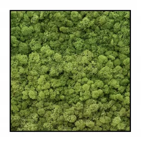  Hidrogel Presto Garden 1kg