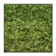  Hidrogel Presto Garden 1kg