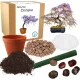  KIT DE CULTIVARE BONSAI WISTERIA CHINEZA WISTERIA PENTRU PLADARE SEMINTE 2 BUC.