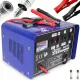  REDRESSOR AUTO PENTRU BATERIE 12v 24v