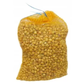    Ceapă de primăvară Iarnă de iarnă Senshyu Galben 1000g 1kg Proaspăt SĂNĂTOS