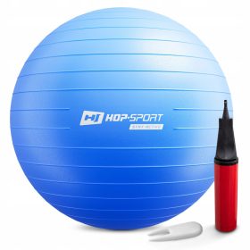  Minge clasică Hop-Sport 70 cm, multicoloră