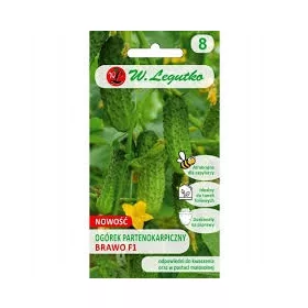  Brawo F1 W. Seminte de castravete Legutko 2 g