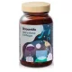 Supliment Alimentar ShroomMe Lion’s Mane & Chaga - Energie și Concentrare