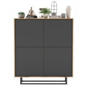  Comodă industrial Loft RTV Wotan grafit MAT 113