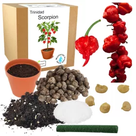    Kit pentru cultivarea semințelor de ardei Naga Bhut Jolokia