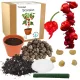  Kit pentru cultivarea semințelor de ardei Naga Bhut Jolokia