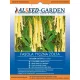  Seminte de fasole galbena Alseed garden 10 g golden gate