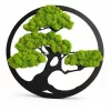 Bonsai de perete cu pălărie stabilizată, 40 cm