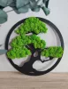Bonsai de perete cu pălărie stabilizată, 40 cm