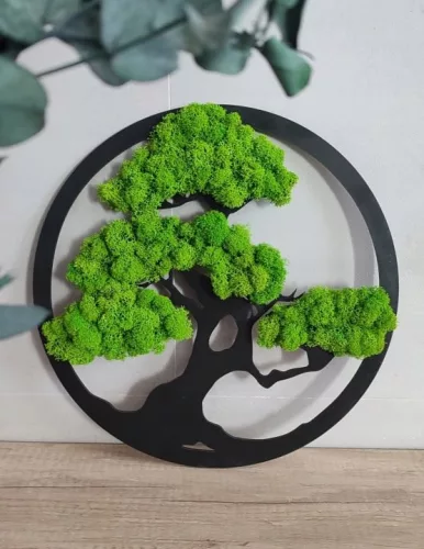 Bonsai de perete cu pălărie stabilizată, 40 cm