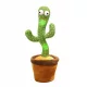  UN CACTUS FERICIT, CÂNTĂTOR, Spune CYPIS