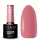  Oja hibridă CLARESA Dusty Rose 6