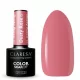  Oja hibridă CLARESA Dusty Rose 6