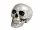  Craniu de Halloween - 20 cm - 1 buc