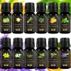 Set de 12 uleiuri parfumate Aromaholik pentru difuzor, 120 ml