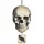  Craniu suspendat Amscan 44 cm