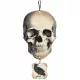  Craniu suspendat Amscan 44 cm