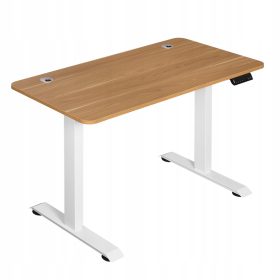    Birou dreptunghiular Woltu 120 x 60 x 116 cm, stejar natural