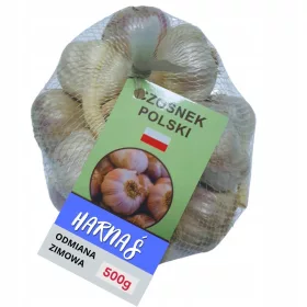  Usturoi Harnaś Polish 500g iarnă PROASPĂTĂ