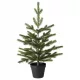  IKEA VINTER Plantă artificială Pom de Crăciun Ghiveci de 55 cm