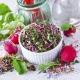  Seminte pentru muguri - Ridichi CHINA ROSE - 100 g