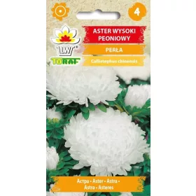  ASTER SEMINTE DE FLORI PERLA DE BUJOR 1G TORAF