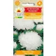  ASTER SEMINTE DE FLORI PERLA DE BUJOR 1G TORAF