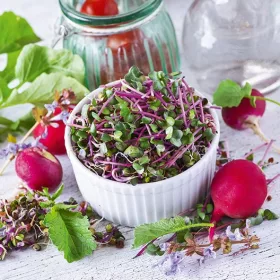    Seminte pentru muguri - Ridiche CHINA ROSE - INTARREA IMUNITATEA - Seminte 500 g