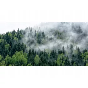  Covoraș de protecție la modă 120x60 pădure în ceață
