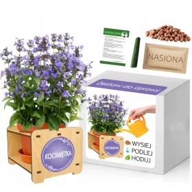  Kit de creștere pentru Catnip pentru pisici, iarbă Nepeta