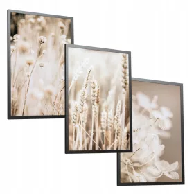   Set de 3 Postere 50x70 cm "Ierburi" pentru Living sau Dormitor