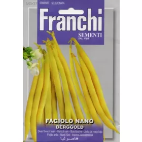  Seminte de fasole Berggold 100 g