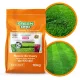  Green Oro îngrășământ cu azot granulat 10 kg 10 l