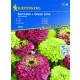  Zinnia Tei Roșu + Semințe de Tei Verde – Kiepenkerl