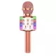  Set de karaoke Mr. and Mrs. Gadget RF-335 pentru copii