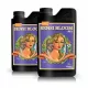  Advanced Nutrients îngrășământ lichid multicomponent 2 kg 2 l