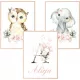  Set 3 poze A3 Animale flori Nume copil