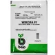  VARZA VIROSA 2500n ST SEMINTE OLANDEZE
