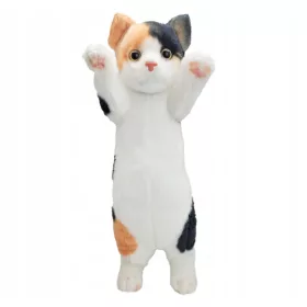    PISIC LUNG, pisică, mascota, jucărie de plus, ca o jucărie de plus vie