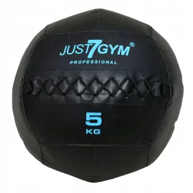  MINGE DE PERETE PREMIUM 5KG MEDICAL JUST7GYM