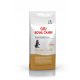  Royal Canin Pro Kitten Maine Coon 14kg pentru pisoi