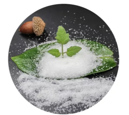 HIDROGEL DE GRADINARI AGROZEL HYDROGEL EFICIENT 2KG