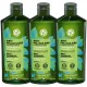  Sampon antimatreata YVES ROCHER cu menta 300ml