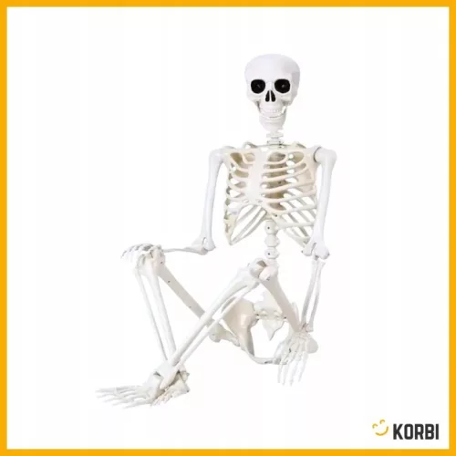 Schelet decorativ Korbi înalt de 165 cm