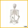 Schelet decorativ Korbi înalt de 165 cm