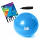  MINGE MARE GIMNASTICA 65 REHABILITARE + POMPA