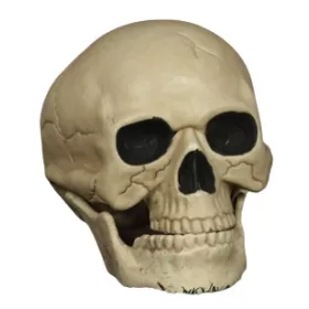  Craniu din lemn in picioare Fiestas Guirca 20 cm