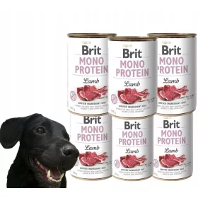 Brit Mono Protein hrana umeda miel 400 g