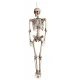  DECORAȚIE MARE DE HALLOWEEN SKELETOR ATÂNAT 165 CM